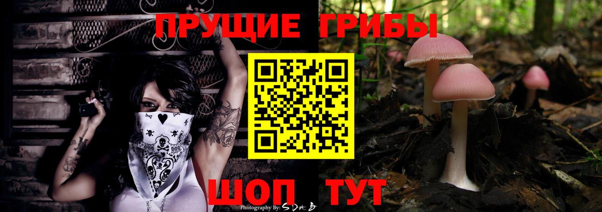 Псилоцибиновые грибы MAGIC MUSHROOMS Ангарск