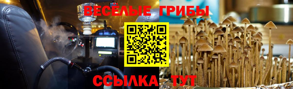Галлюциногенные грибы ЛСД  купить  сайты  Ангарск  Галлюциногенные грибы Psilocybine cubensis  Вход с VPN 